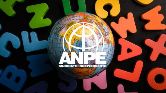 anpe-web-3-