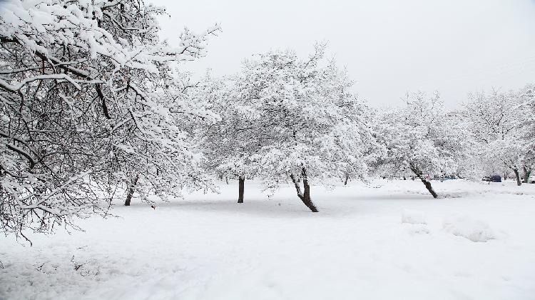 russian-winter-4329441_1280